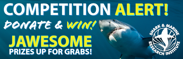 Competition