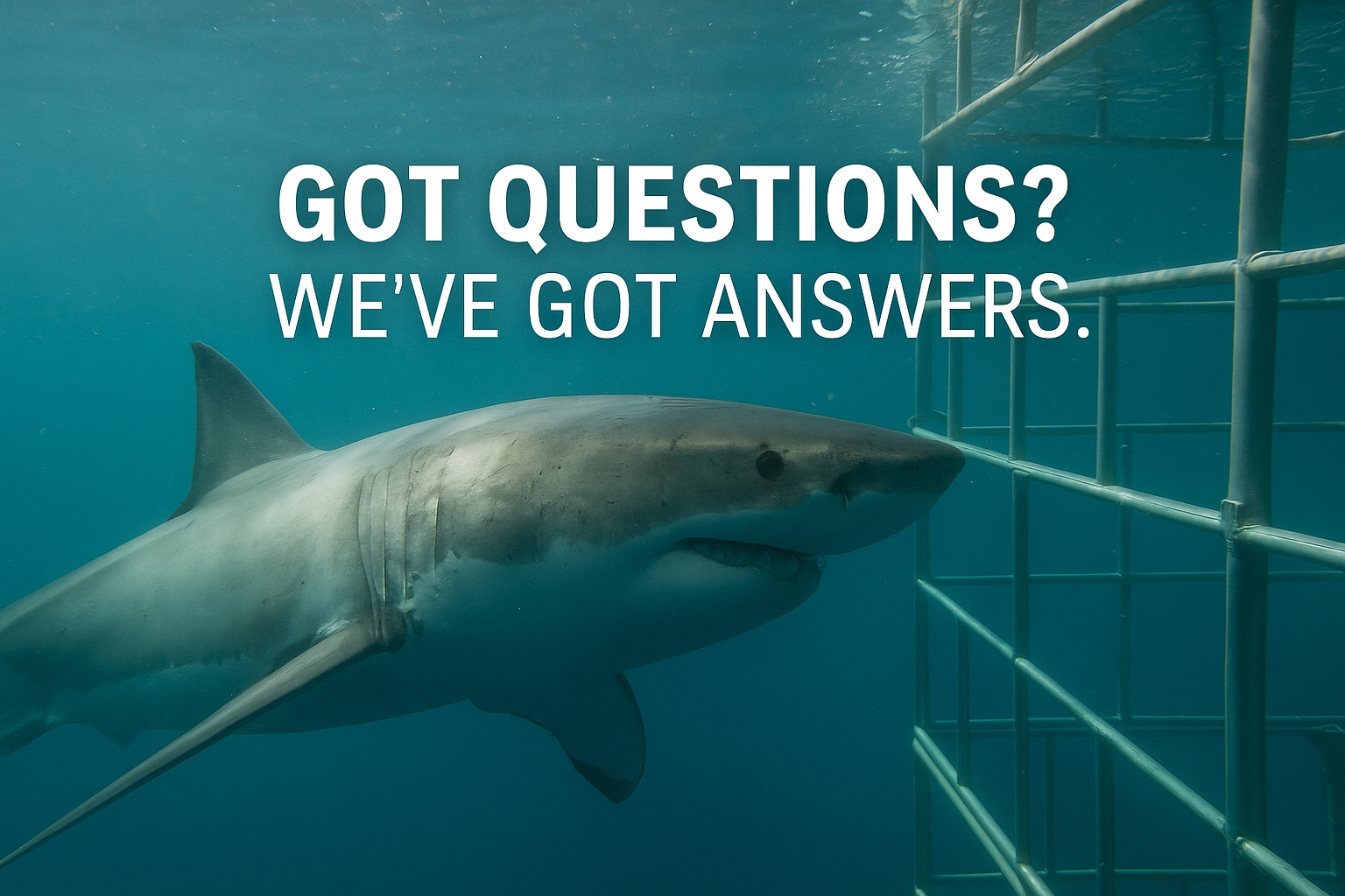 FAQ Frequently Asked Questions