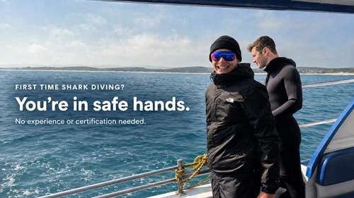 Shark cage fdiving for beginners: smiling guests aboard a boat in Gansbaai, with the message: “You’re in safe hands. No experience or certification needed.”