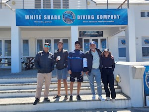 White Shark Diving Company place picture